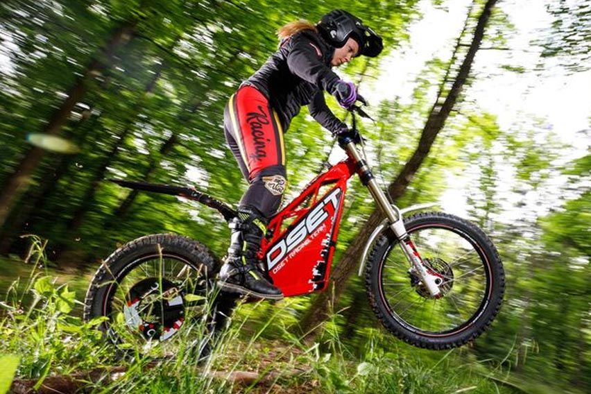 Triumph and OSET will share experties & resources 