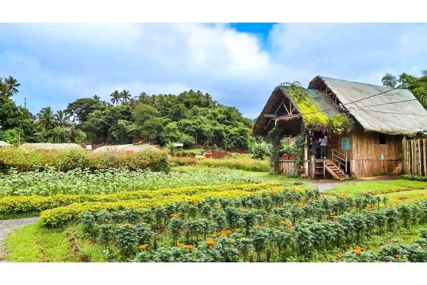 Harley Owners Group (HOG) 