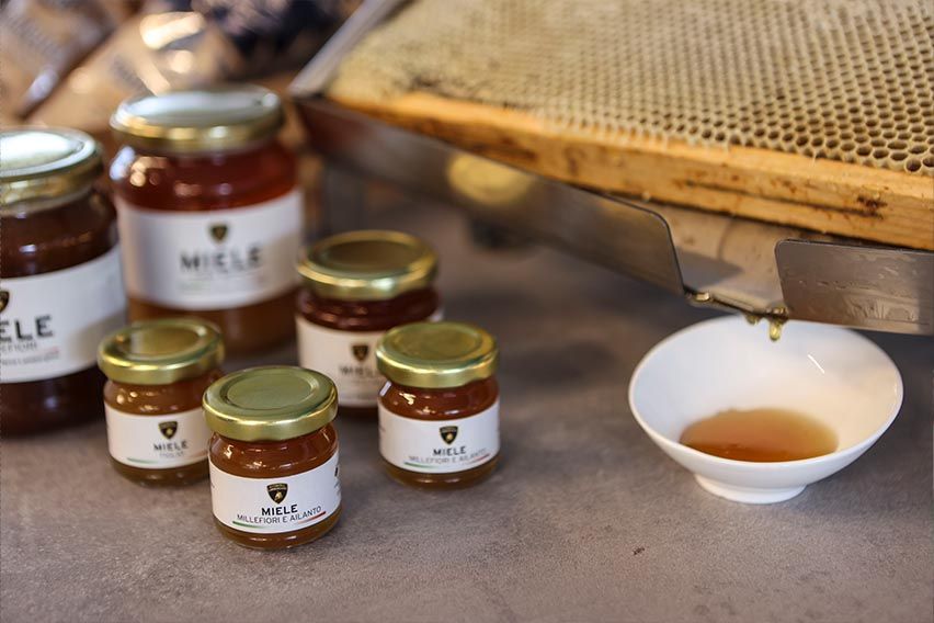 Lamborghini Super Trofeo Europe