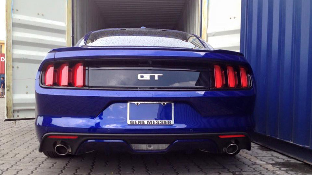 12047113_886155238098849_3455338965291656256_n