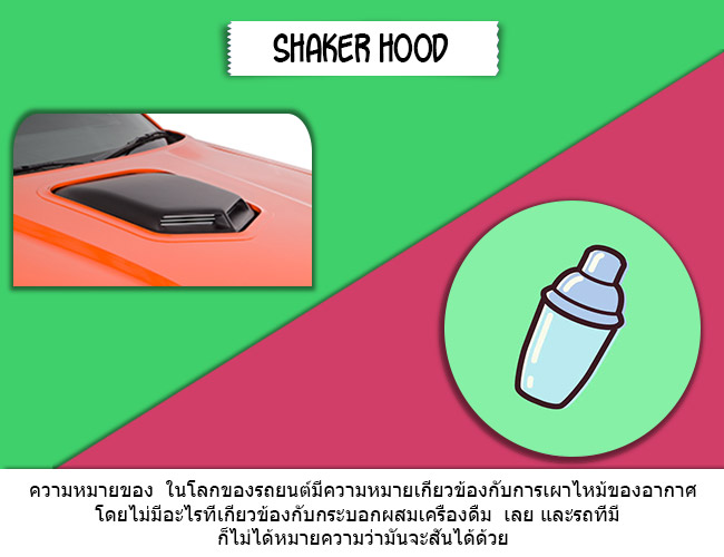 Shaker-Hood_thai
