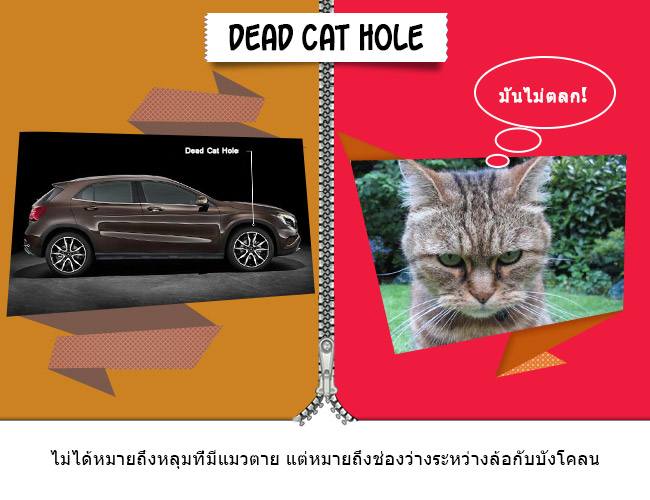 Dead_cat_hole_thai_02