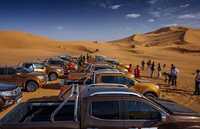 Pengujian juga berlaku untuk manusianya