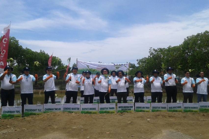 Toyota Hijaukan Brebes Pakai 70 Ribu Mangrove