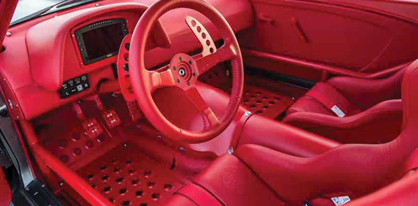 Vicious Mustang Cabin