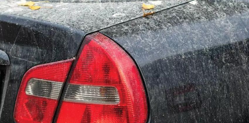 car watermarks