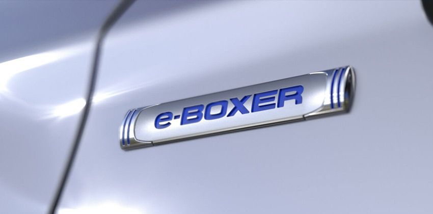 e-Boxer badging
