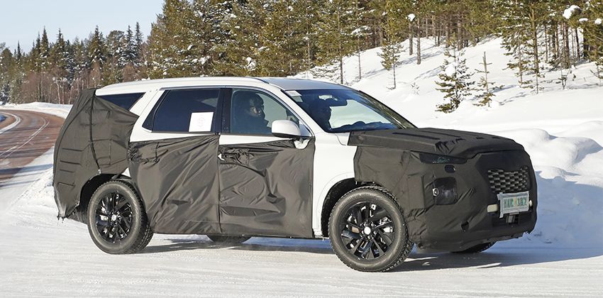 Hyundai Palisade Camouflaged