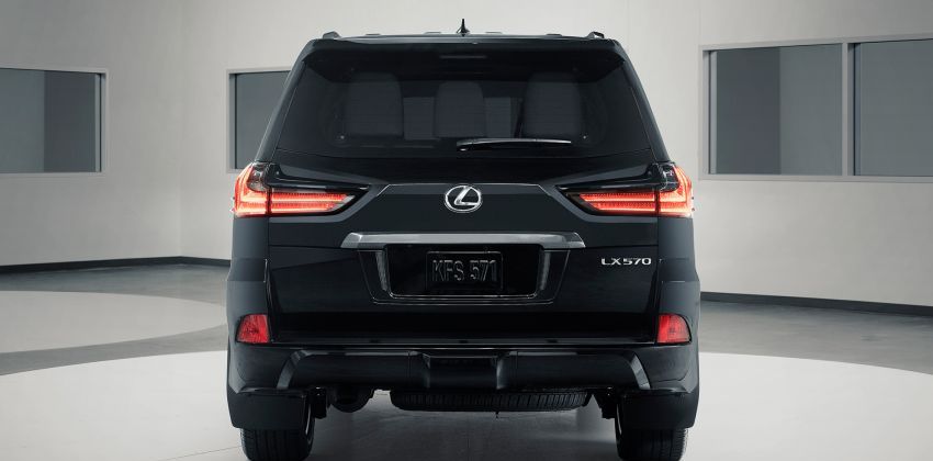 Lexus SUV rear