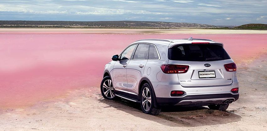 2019 Kia Sorento Rear Angular