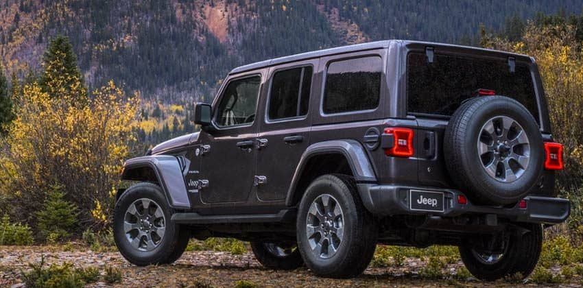 2019 Jeep Wrangler rear