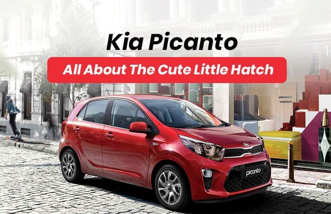 Kia Picanto: All you need to know about the cute little hatch