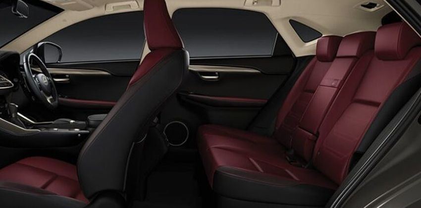 2019 Lexus NX 300 CABIN
