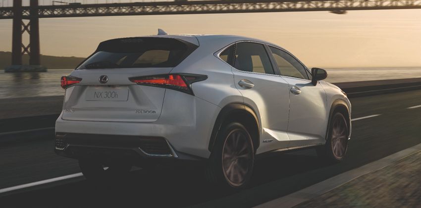 NX 300h Rear