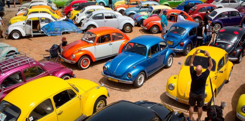 Beetle Collection