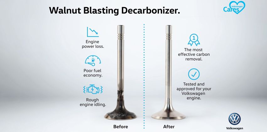 VM MY Walnut Blasting Decarboniser service