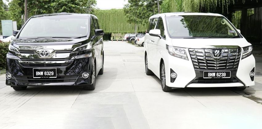 Toyota Alphard & Vellfire