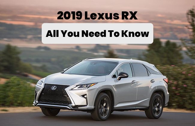 2019 Lexus RX - All you need to know