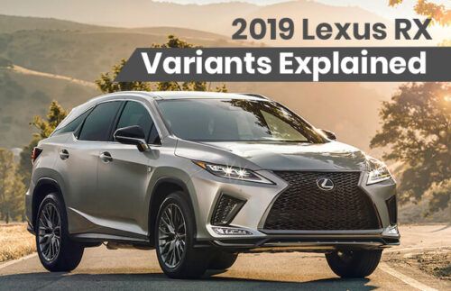 2019 Lexus RX - Variants explained