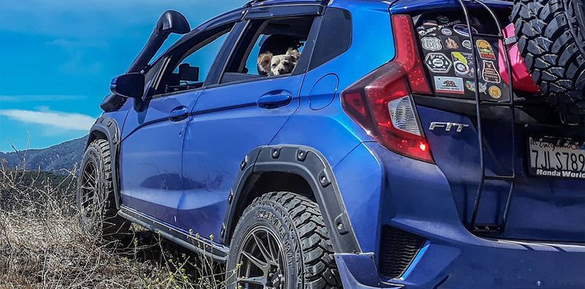 Jeff Palma's Honda Fit rear