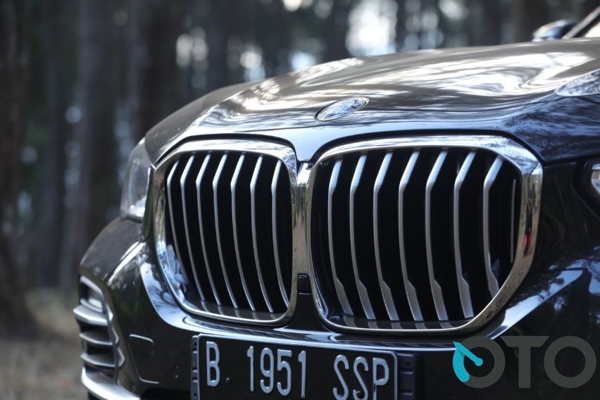 BMW X5 kidney grille