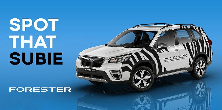 Forester Spot that Subie