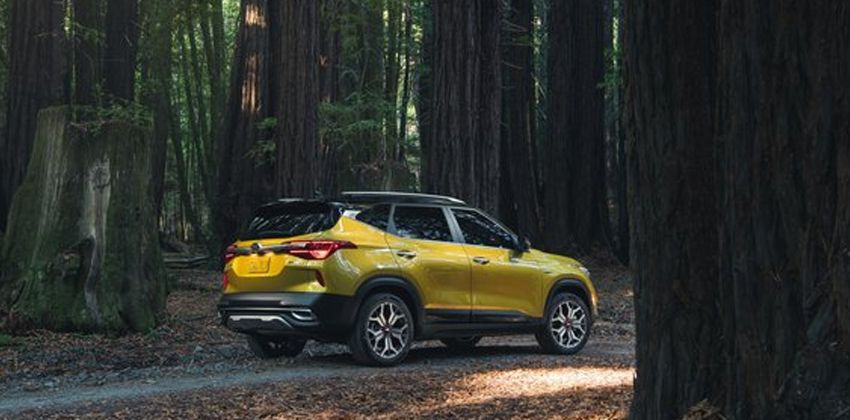 2021 Kia Seltos rear