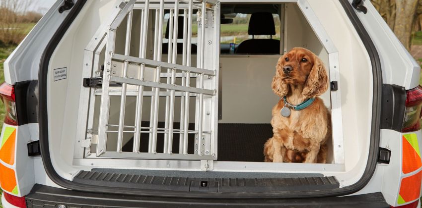 Skoda Kodiaq polic dog van rear