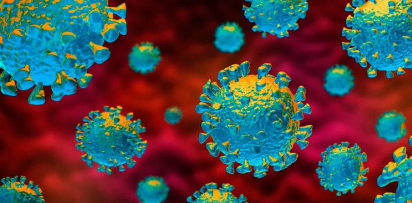 Coronavirus pandemic 