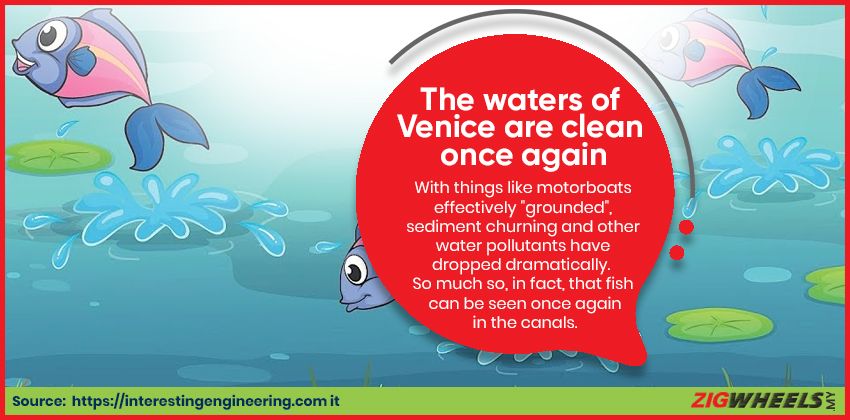 Clean water in Venice