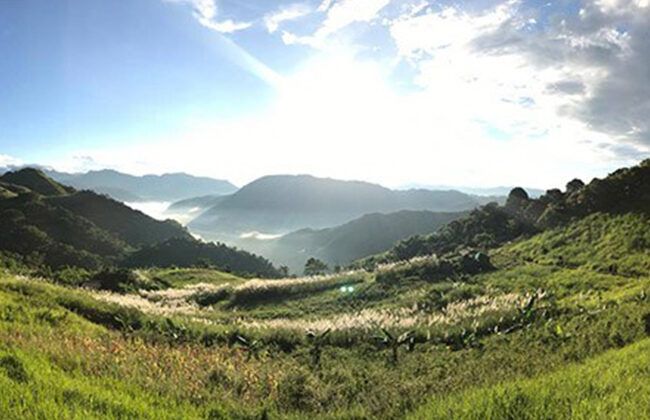 Top driving destinations after the ECQ Top driving destinations after the ECQ