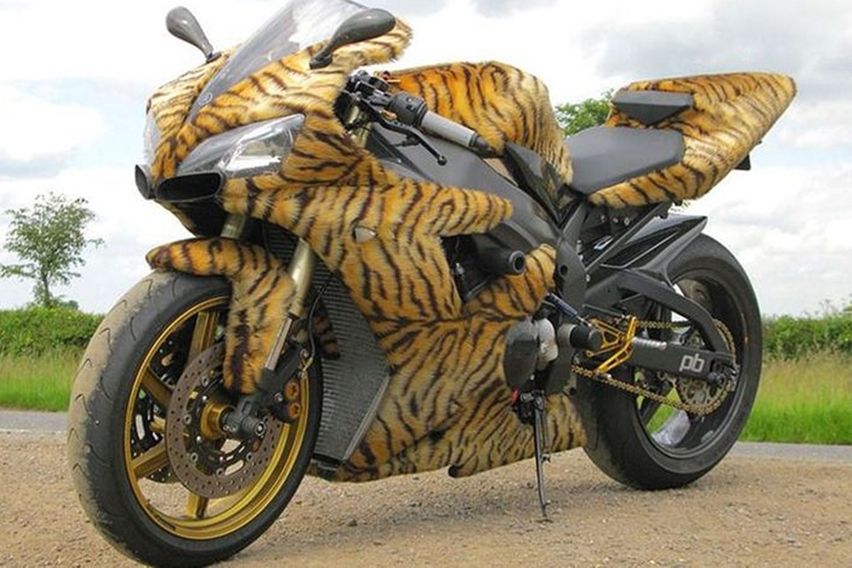 superbike bulu macan