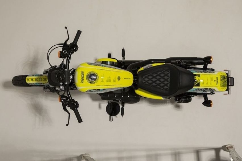 harley davidson seek for freedom