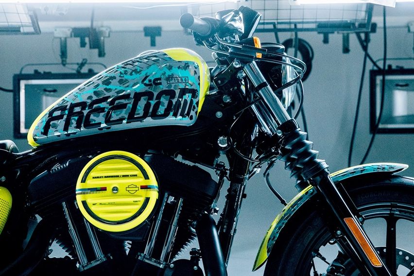 harley and graphers rock