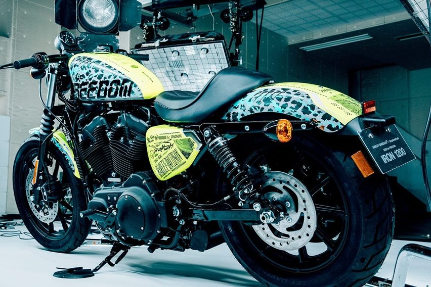 harley seek for freedom