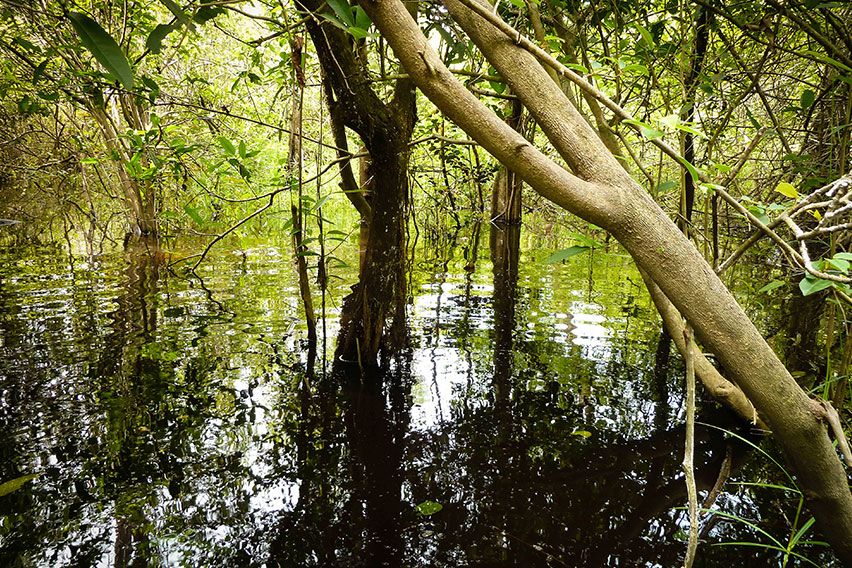 Volkswagen CO2 emissions