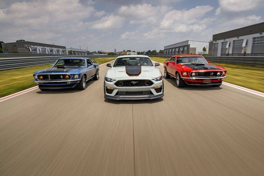 What kind of Mustang are you?