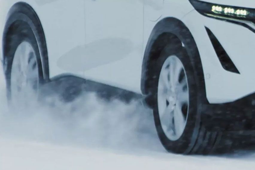 Nissan Ariya tyre