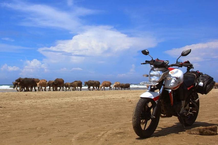 touring yamaha byson