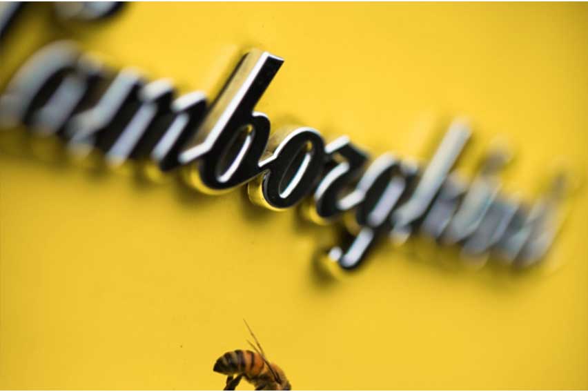 Lamborghini bee biomonitoring project helps control pollution in Italian town