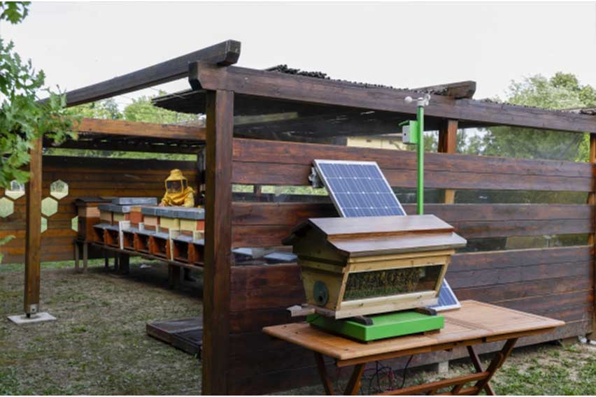 Lamborghini Park Apiary