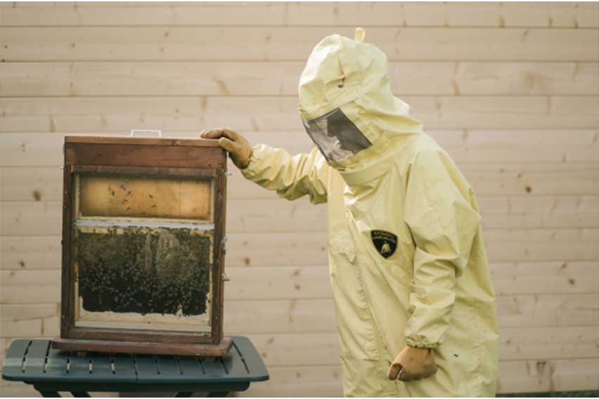 Lamborghini Park Apiary