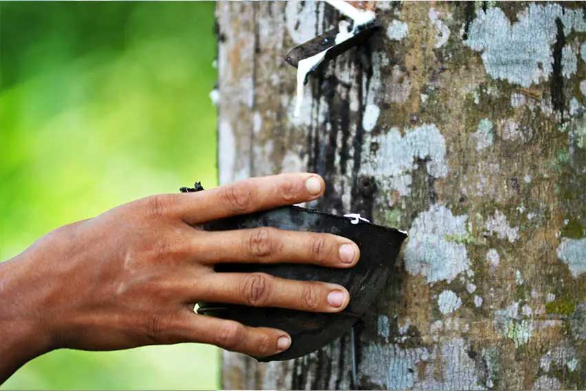 BMW sustainable tyres