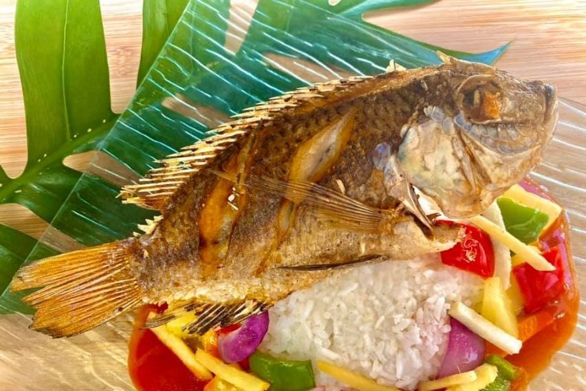 Geely x Heaven's Touch Cuisine Meal Donation Drive in Philippine General Hospital (PGH) and Tondo, Manila