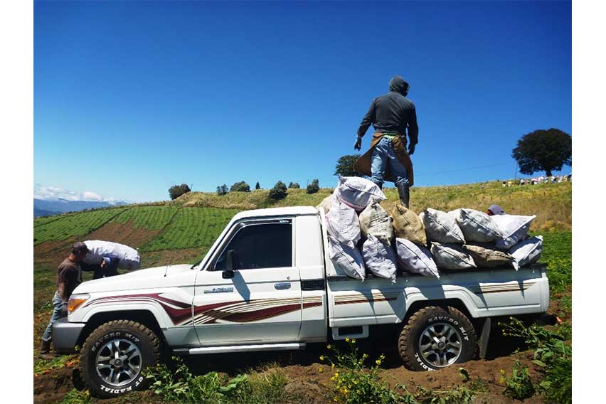 Toyota Land Cruiser used as a truck in Costa Rica