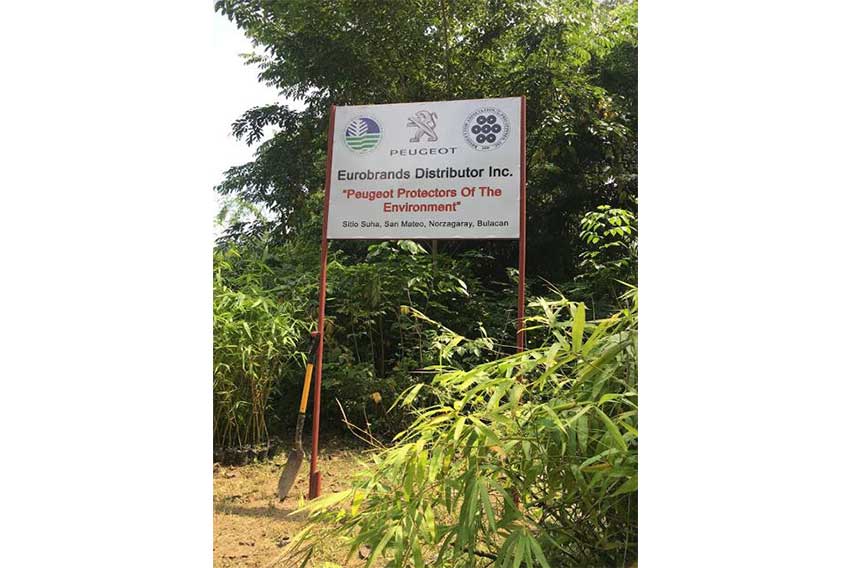 Peugeot PH plants 300 saplings through ‘Protectors of the Environment’ program