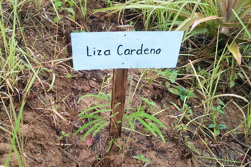 Peugeot Protectors of the Environment (POE) Program 2021