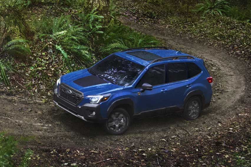 Subaru Forester Wilderness side