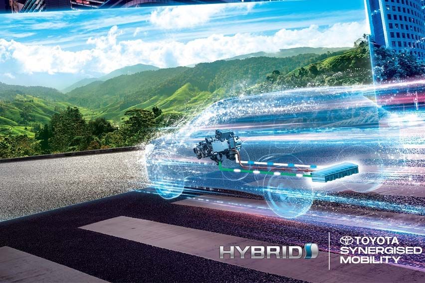 UMWT hybridisation plan