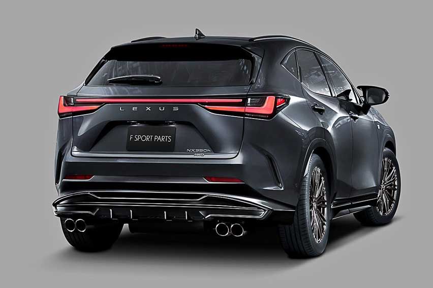 Lexus NX F Sport rear